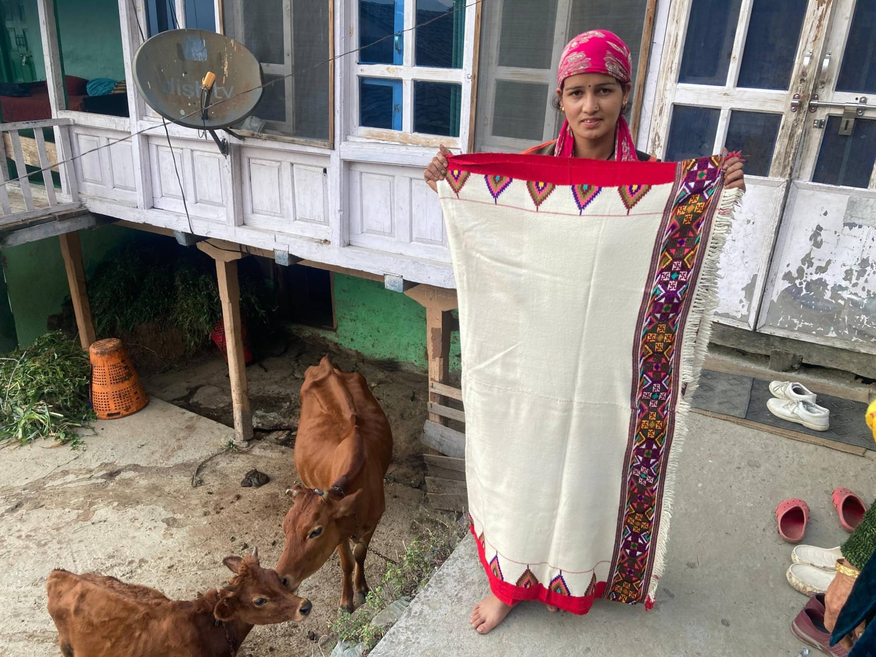 Himachal Wool Pattu